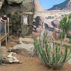 Deserts Building Interior