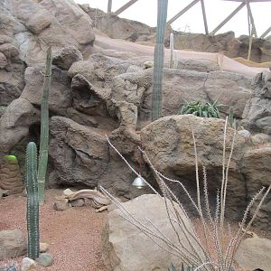 Deserts Building Interior