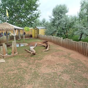Red-Footed Tortoise/African Spurred Tortoise Exhibit