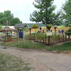 Galapagos Tortoise/Aldabra Tortoise Walk-Through Yard
