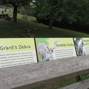 Grassland Field Species List