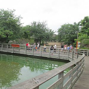 Grassland Pool (looking towards rhinos)