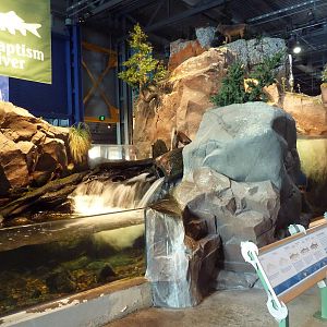 Baptism River Exhibit