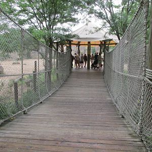 Bridge to White Rhino Lookout