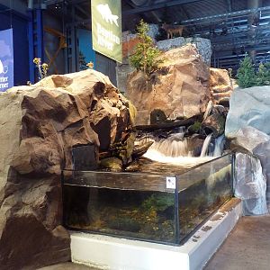 Baptism River Exhibit