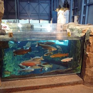 Isle Royale Exhibit - Upper View