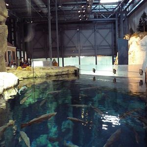 Isle Royale Exhibit - Upper View