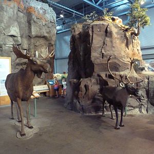 Second Floor Overview