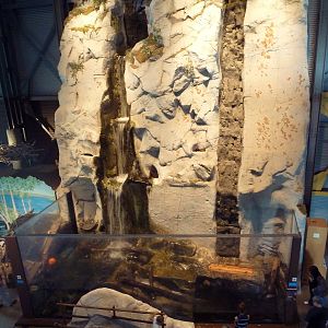 North American River Otter Exhibit - View From Above