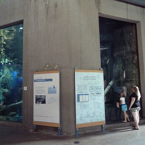 Isle Royale Exhibit