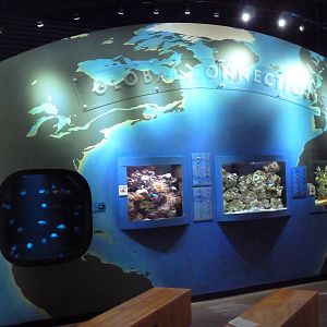 Global Connections - 4 Small Tanks