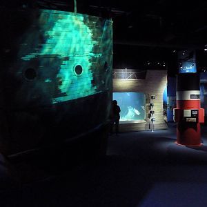 Shipwrecks Alive! - New in 2014