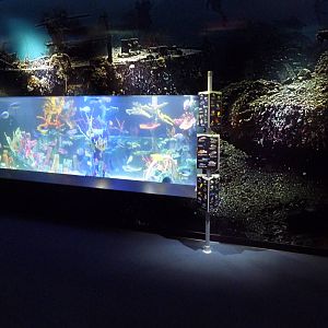 Shipwrecks Alive! - New in 2014