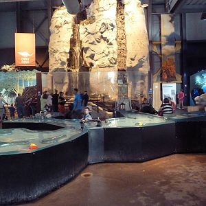 Children's Interactive Area