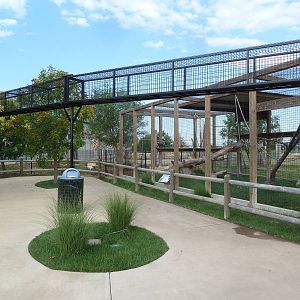 Primate Overhead Chute