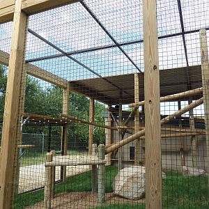 Black Howler Monkey Exhibit