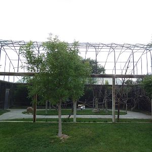 Walk-Through Lorikeet Aviary