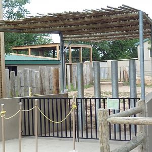 Indian Rhino Exhibit - Visitor Feeding Area
