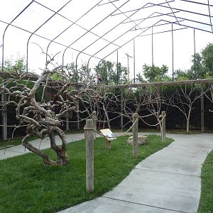 Walk-Through Lorikeet Aviary