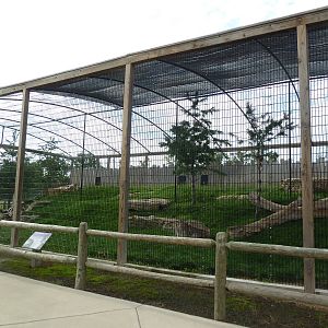 Snow Leopard Exhibit