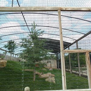 Snow Leopard Exhibit - Side View