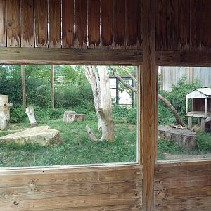 Clouded Leopard Exhibit