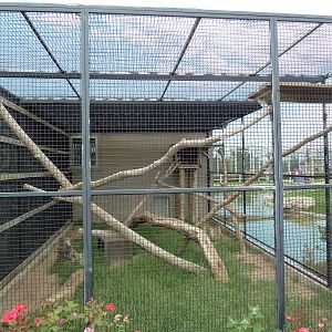 Fossa Exhibit