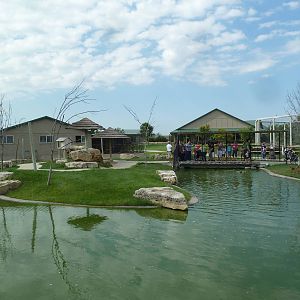 Walk-Through Ring-Tailed Lemur Exhibit