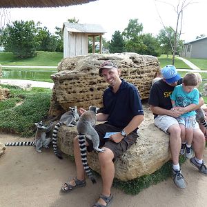 Myself + Ring-Tailed Lemurs (Tanganyika Wildlife Park, USA)