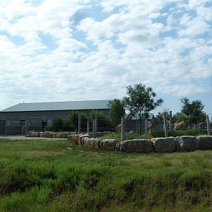 Reticulated Giraffe/Cuvier's Gazelle Exhibit