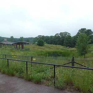 Wattled Crane Exhibit