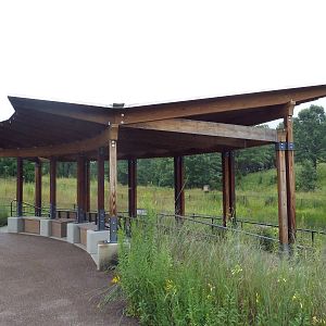Wattled Crane Exhibit - Viewing Shelter