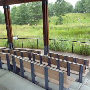 Wattled Crane Exhibit - Viewing Shelter