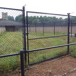 Black-Necked Crane Exhibit #2