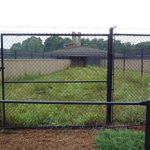 White-Naped Crane Exhibit #2