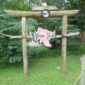 Asian Trail Sign