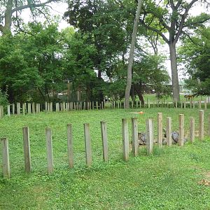 Galapagos Tortoise Exhibit