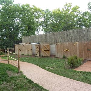 Australian Walk-About