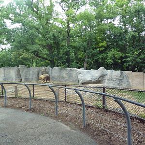 Sichuan Takin Exhibit