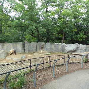Sichuan Takin Exhibit
