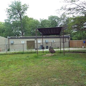 Emu Exhibit
