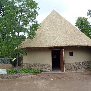 Africa! - Small Animal Building