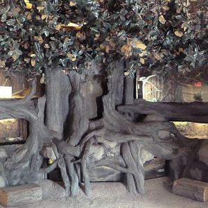 Africa! - Small Animal Terrariums