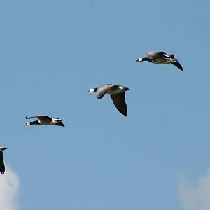 Stairway IN heaven.....