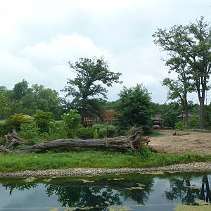 Africa! - White Rhino/Grevy's Zebra Exhibit