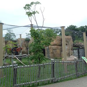 Africa! - Mandrill Exhibit