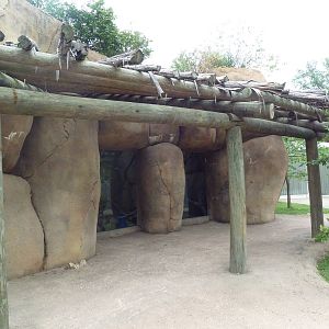 Africa! - Mandrill Exhibit (Viewing Shelter)