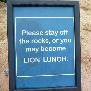 Africa! - Lion Exhibit Sign