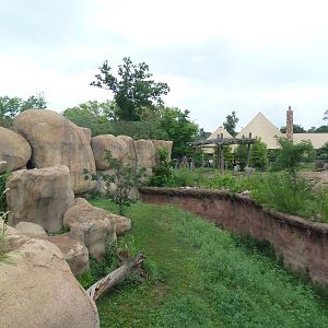 Africa! - Lion Exhibit (Side View)