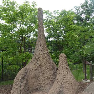 Africa! - Termite Mound